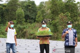 Bupati Bangka Tengah ajak warga gunakan waktu garap lahan