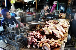 Harga ayam potong turun