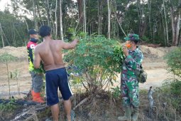 Anggota Satgas TMMD dan warga panen ubi