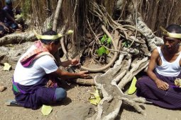 Kearifan lokal warga Witihama punya ritual "tolak bala" cegah COVID-19