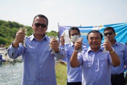 KKP perkirakan panen perikanan budidaya capai 450 ribu ton kuartal II-2020