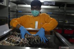 Stok darah berangsur normal