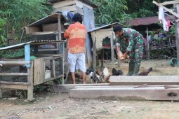 Personel TMMD ini, bantu Bu Ratna ngasi makan ayam
