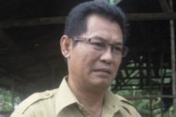Persediaan hewan ternak di Kaltim aman jelang Ramadhan