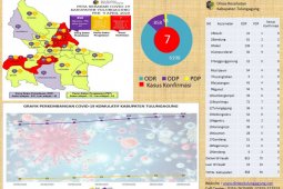 Ibu dan kakak perempuan pasien positif COVID-19 di Tulungagung ikut tertular