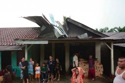 Empat rumah rusak akibat tertimpa pohon di Subulussalam