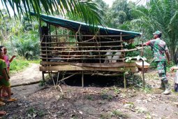 Prajurit Satgas bantu berikan pakan ternak