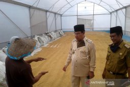 Harga beras lokal Talang Benih Rejang Lebong naik