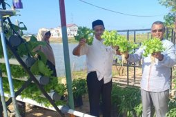 Begini dampaknya kalau masyarakat galakkan tanaman sayur di halaman rumah