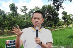 Balitbangtan kembangkan "Si Katam Terpadu" di lahan rawa