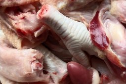 Harga daging ayam di Mesuji turun