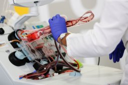 Pasien sembuh COVID-19 di Indonesia terus lampaui angka kematian dan total positif 6.248