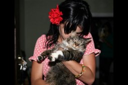Kitty Purry, kucing kesayangan Katy Perry mati