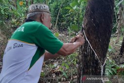 Bupati Sintang siapkan Rp5 miliar untuk beli karet rakyat