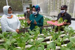 Sosialisasi program PTSL di Surabaya tetap berjalan di tengah wabah COVID-19