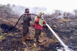 Pakar UI: Cegah beban ganda karhutla di tengah pandemi COVID-19