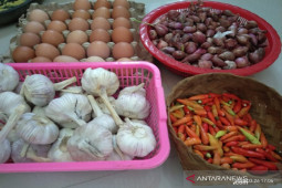 Masyarakat Banjarmasin mulai berbelanja dapur melalui daring