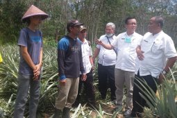 COVID-19 tidak halangi produktivitas petani Jambi