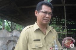 Stok daging dan ayam Kaltim aman