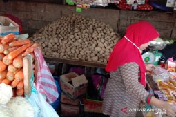 Harga kentang di pasar Ambon Rp45.000/Kg