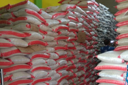 Petani Tanjung Jabung Timur tetap berproduksi selama pandemi COVID-19