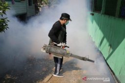 Pemkab Mahakam Ulu intensif cegah DBD, selain COVID-19