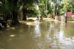 Banjir rendam 11 desa di Aceh Barat