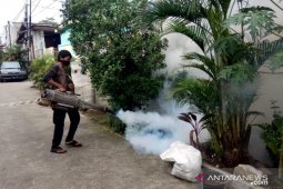 Pengasapan di Depok Jaya cegah wabah demam berdarah