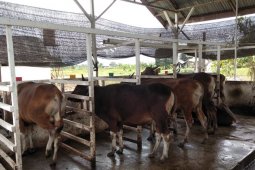 P4S Pudak Jaya percaya diri jadi andalan penyediaan pangan dan ternak