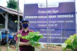 BI kerja sama Distan Maluku dalam menjaga pasokan di tengah pandemi COVID-19