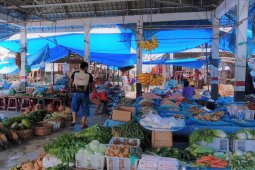 Pemkab Labuhanbatu semprotkan desinfektan berkelanjutan