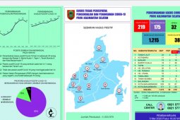 Positive case jumps to 219 in S Kalimantan