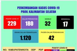 Five new death of COVID-19 in S Kalimantan