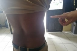 Anggota DPD minta pemda di Kalimantan Barat siapkan perlindungan hukum
