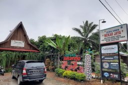 Ketahanan  UMKM kopi liberica Tanjabbar diuji pandemi virus corona