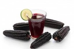 Jagung ungu inovasi Balitbangtan dinilai mampu tingkatkan imunitas