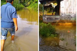 15 kepala keluarga di Kecamatan Sei Lepan Langkat mengungsi karena banjir