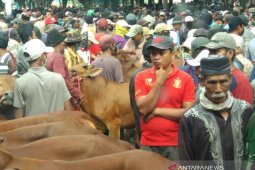 Pedagang-pembeli abaikan protokol kesehatan COVID-19,   Pemkot Probolinggo tutup pasar sapi Wonoasih