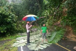 Pohon tumbang dan batu tutupi badan jalan di Geurute, lalu lintas terganggu