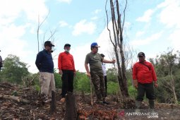 Rejang Lebong lakukan percepatan penanaman bahan pangan cadangan