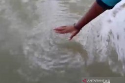 Warga dihebohkan dengan semburan diduga gas dalam genangan banjir