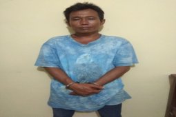 Aniaya teman karena menasihati, Man Tato warga Desa Pantai Gading ditangkap Polisi Secanggang Langkat