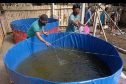 Pemberdayaan warga Tonja saat pandemi COVID-19