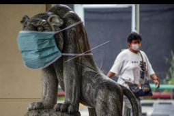 Patung hewan pakai masker
