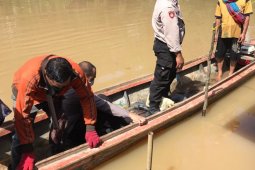 Seorang warga Loban hilang diduga diterkam buaya saat berenang