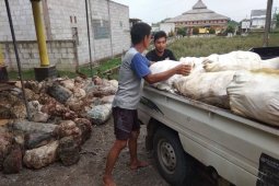 Pendapatan bandar penampung karet di Lebak merosot