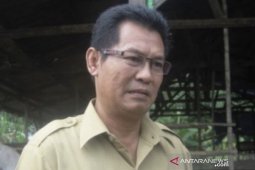 Kaltim berupaya wujudkan swasembada pangan