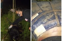 Warga Desa Banyumas Stabat Langkat temukan mayat perempuan