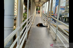 Seorang wanita pingsan di Halte Busway, warga tak berani mendekat