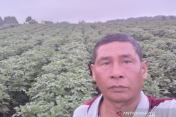Belajar bertani di "google", Wakil rakyat di Taput bercocok tanam di tengah pandemi COVID-19